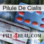 Cialis Pill 36
